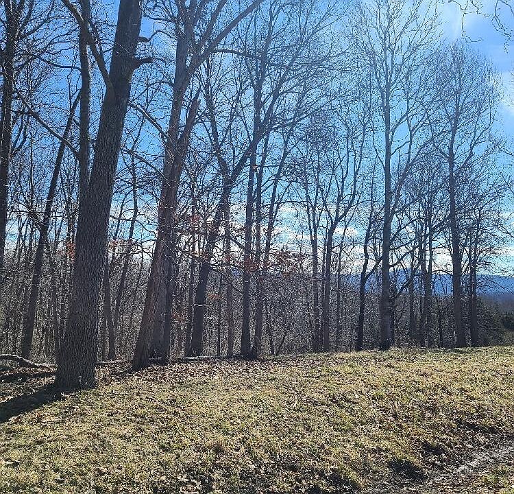Tbd Longview Meadow Dr, Buena Vista, VA 24416 MLS 136729 Zillow