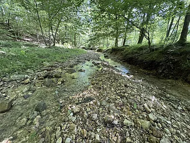 Property photo 68