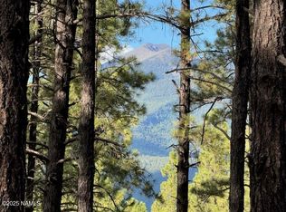 9285 Coyote Pass, Flagstaff, AZ 86001