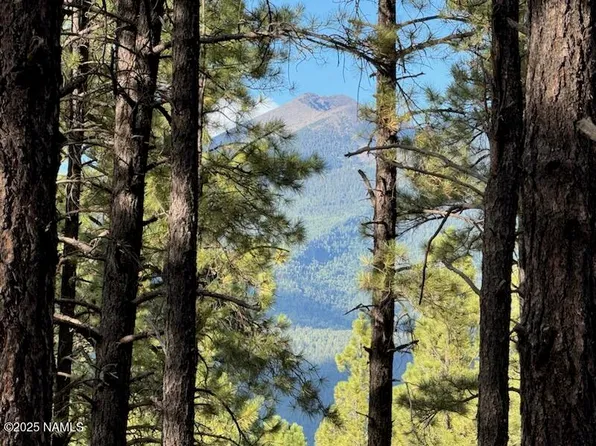 9285 Coyote Pass, Flagstaff, AZ 86001