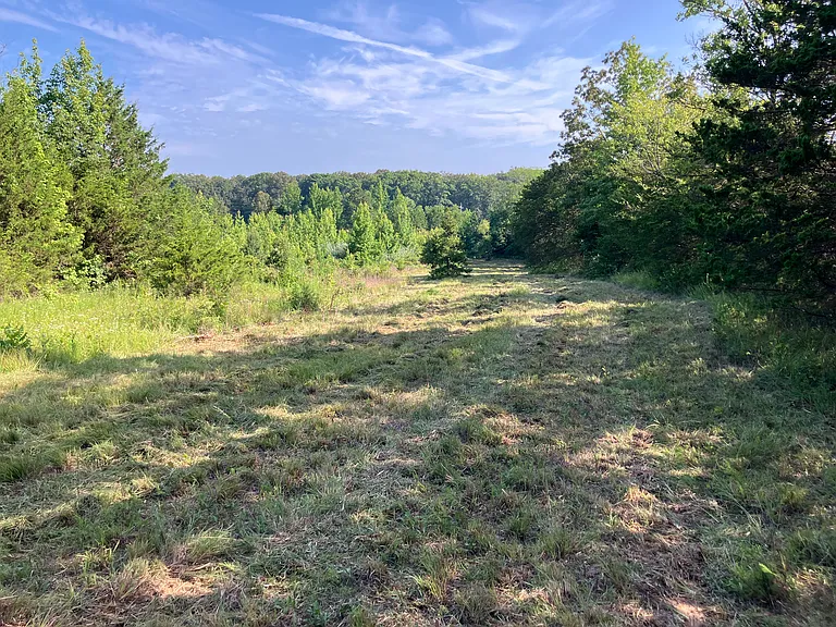 940 County Road 534 — Photo 17