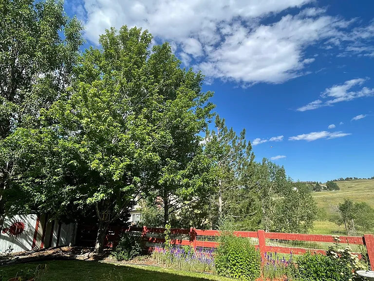 3240 Huron Peak Ave — Photo 8