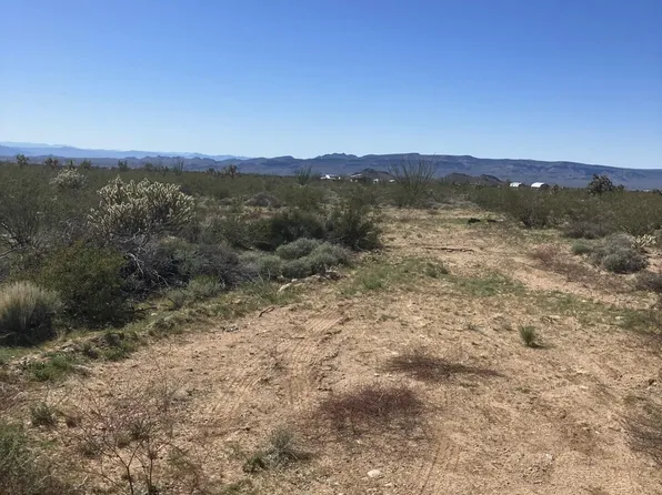 6 Rutz Rd, Yucca, AZ 86438