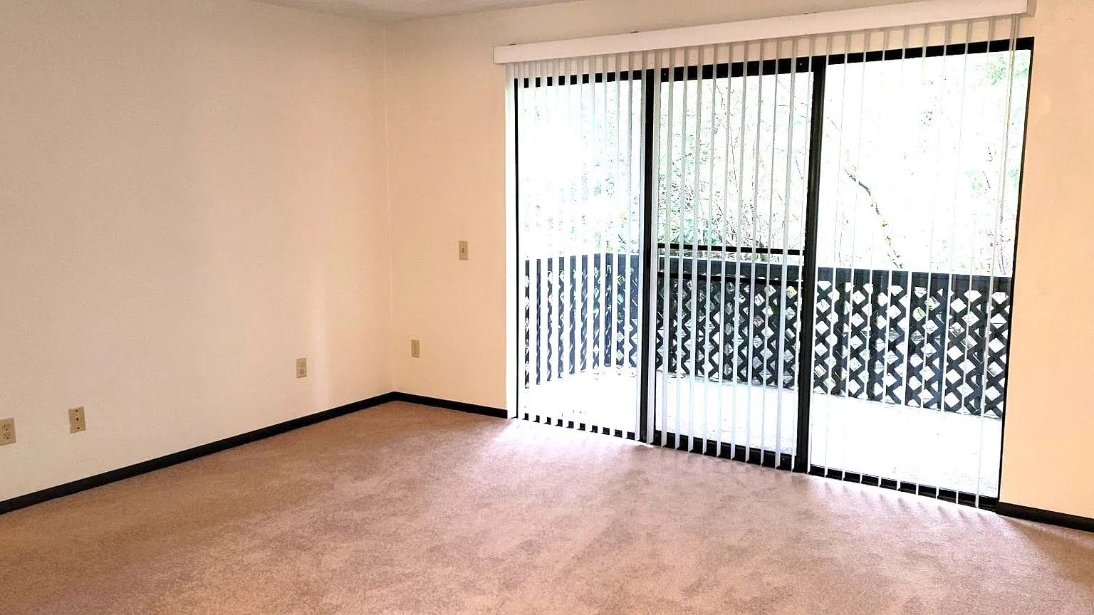 Lynnwood Charming 1 BD / 1 BA Condo — Photo 2
