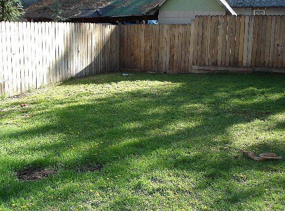 Great landscaped/fenced back yard!!