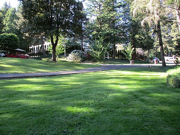 Large Front yard
