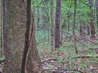 1400 Robinson Rd, Canton, MS 39046