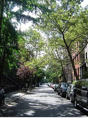 Rented by Waverly Realty Associates | media 7