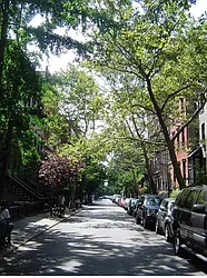 Rented by Waverly Realty Associates