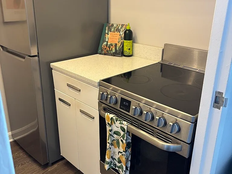 900 N Lake Shore Dr #2111 — Photo 6