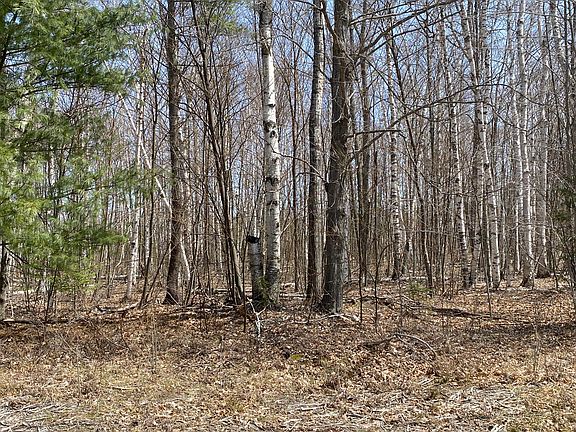 4th image of Birchwood Dr