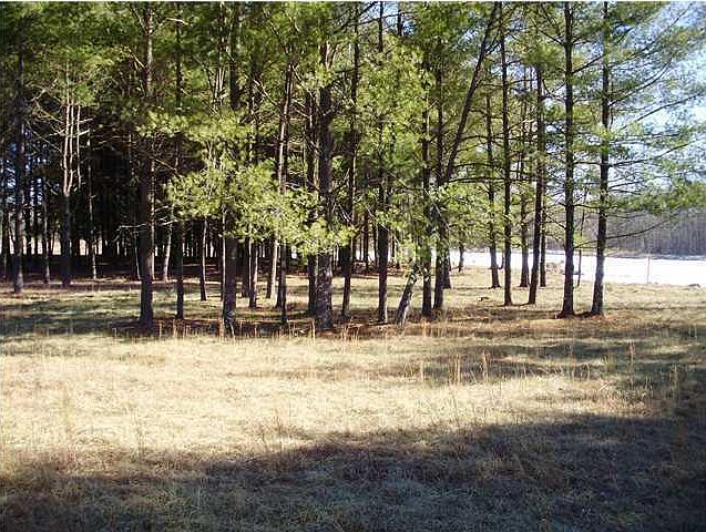 2nd image of 3 Palmer Lake Rd