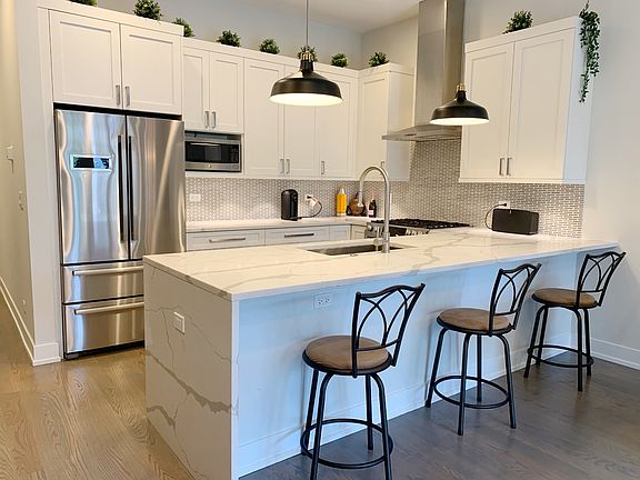 3rd image of 1051 N Damen Ave #2S
