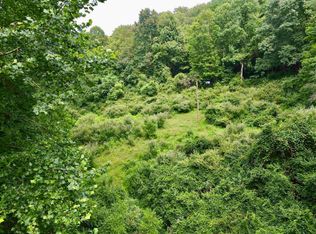 1527 Cowskin Fork Rd, Duck, WV 25063