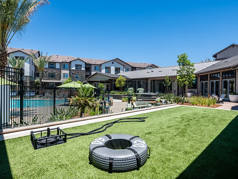 The Vineyards Apartments — Photo 18