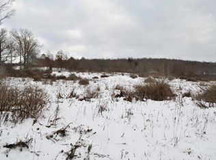 353 Bull Creek Rd, Whitney Point, NY 13862