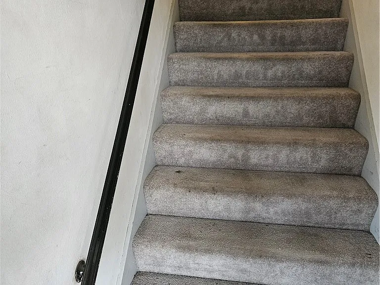 370 Wall Ave #3 — Photo 2