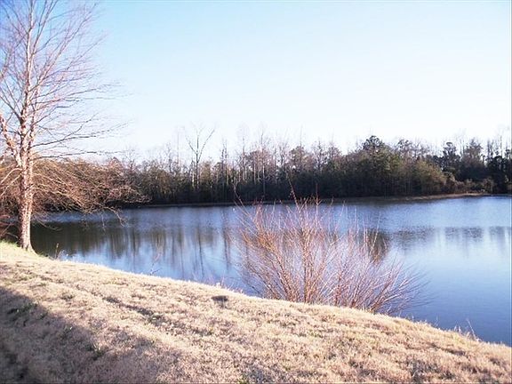 View from Back Porch
