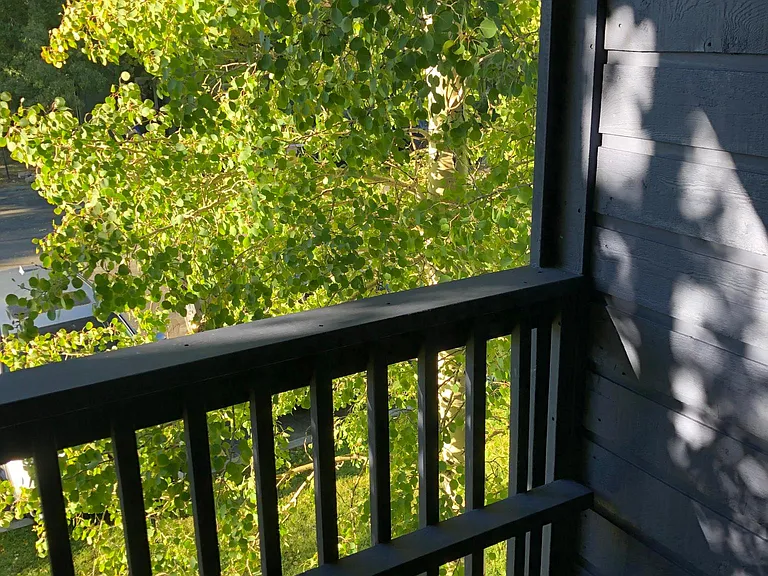 256 Cove Blvd #5 — Photo 18