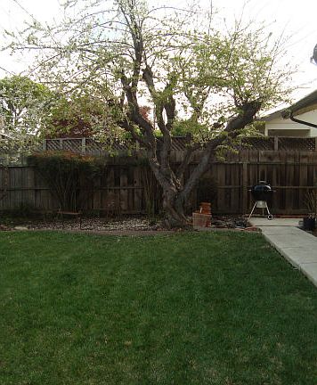 2nd image of 360 Sara Ave