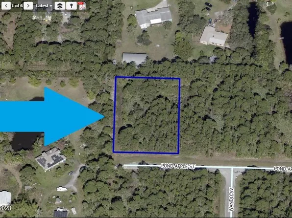 4200 Pond Apple St, Grant Valkaria, FL 32949