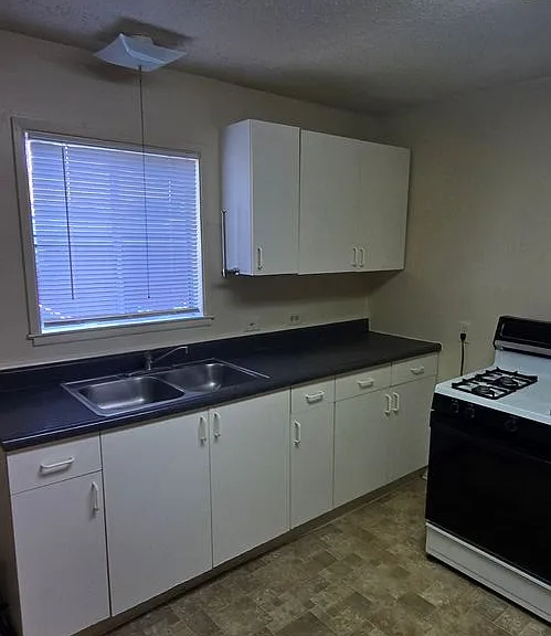 3003 Vine St #3005 — Photo 4