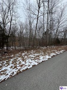 Limp Rd, Big clifty, KY, 42712