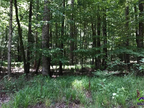 6889 Colaparchee Rd, Macon, GA 31210