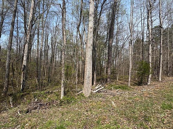 4th image of 0 Hurdle Mills Rd