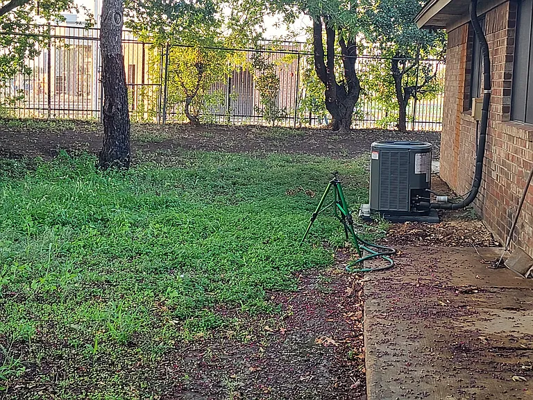 Side yard