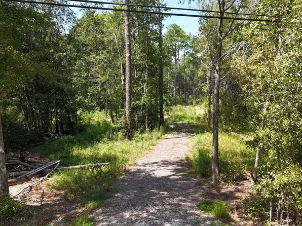 0 Sycamore Rd, Carriere, MS 39426