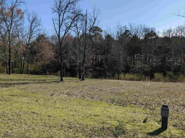 56 Brighton Pointe Ln, Heber Springs, AR 72543