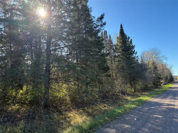 Lot 3 Fadness Road, Winter, WI 54896