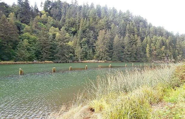 Riverside Manor II — Photo 1