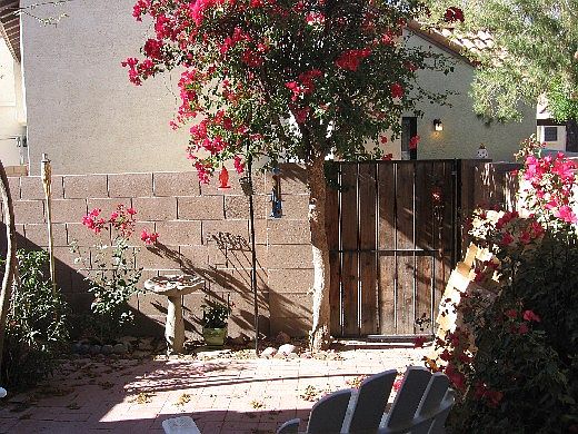 5th image of 921 W University Dr Unit 1054