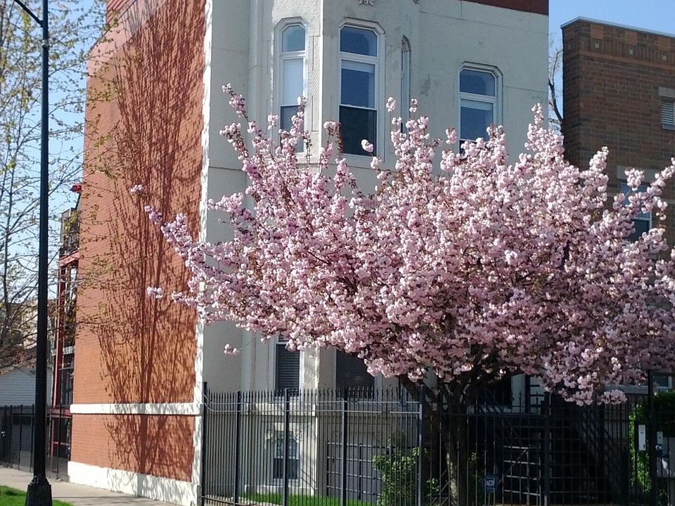 1st image of 2301 W Monroe St #1