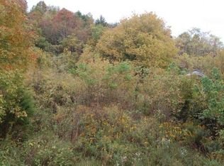 908 Clinch Valley Rd, Eidson, TN 37731