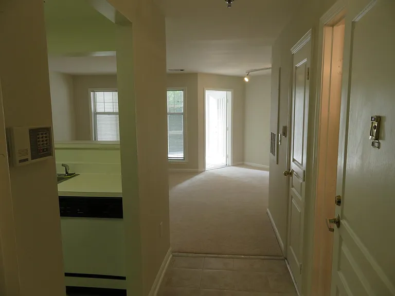 5565 Seminary Rd #208 — Photo 18