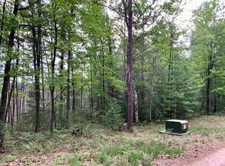 Nelson Lake Rd, Eagle River, WI 54521