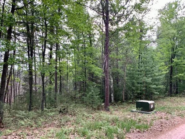 Nelson Lake Rd, Eagle River, WI 54521