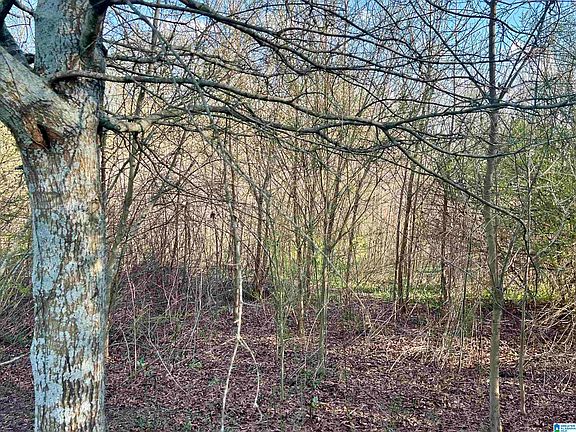 3rd image of 0 County Road 504 #0
