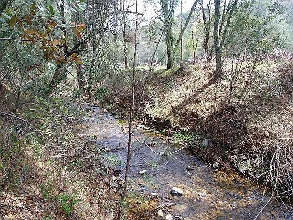 5th image of 10.3 Acres Columbia College