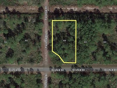 824 ORCHID DRIVE LOT 12, Indian Lake Estates, FL, 33855