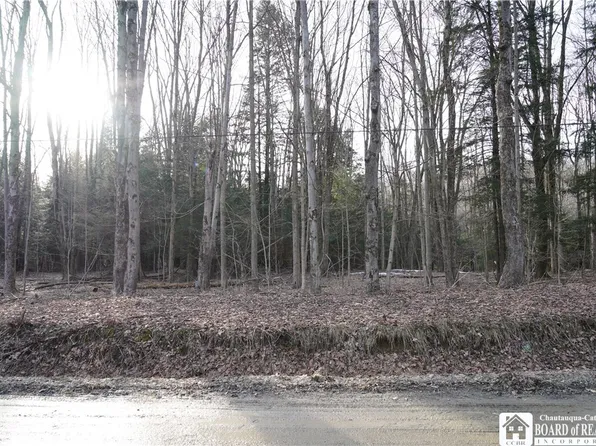 Rocky Glen Rd, Cassadaga, NY 14718