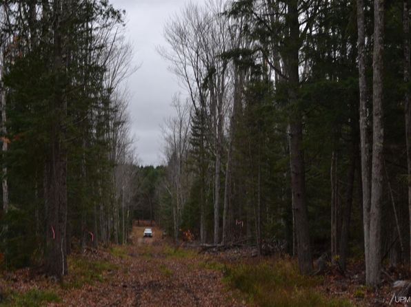 40 / Acres Off, Marquette, MI 49855