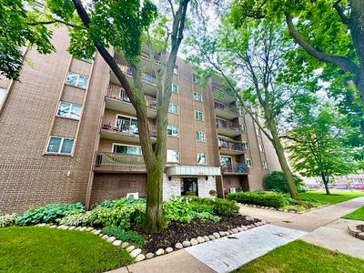 1365 Ashland Ave APT 604, Des Plaines, IL, 60016