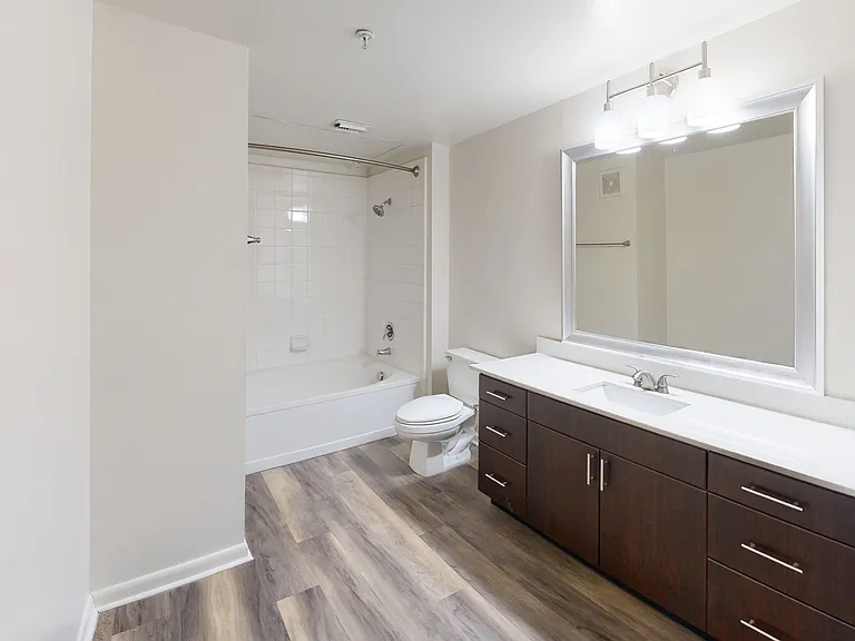 Residences at the Domain — Photo 115