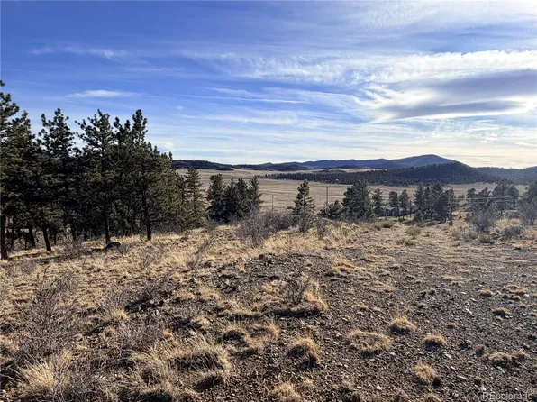 729 Bridle Path, Hartsel, CO 80449