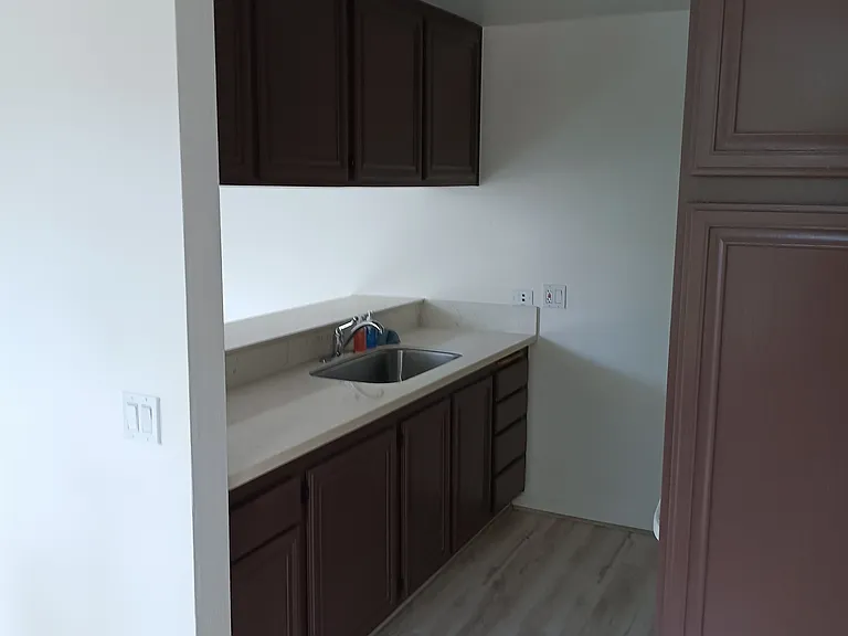 Kitchen Lots of Storage Quartz Countertop Large Sink