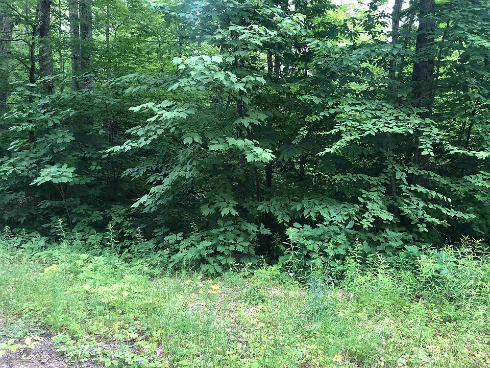 Bear Road UNIT 117, Woodsville, NH 03785 Zillow